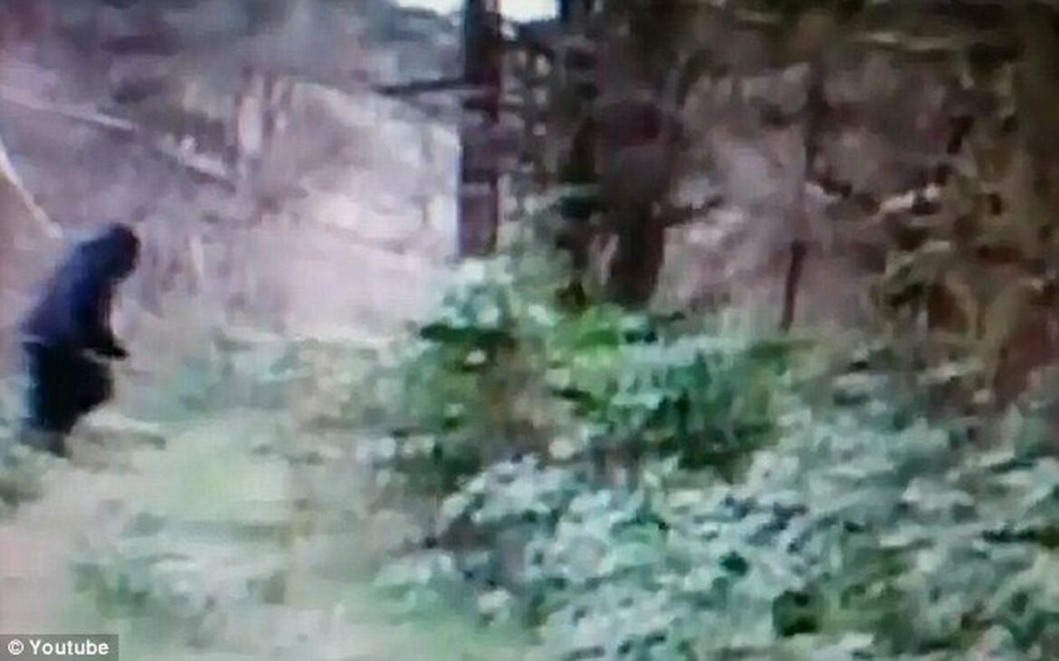 Zx5ktkpTURBXy9jNGYwOTU1ODQwNTRlOThiMmI3MTUzMWJmNWY4ZDY3MS5qcGeRkwLNBRQA