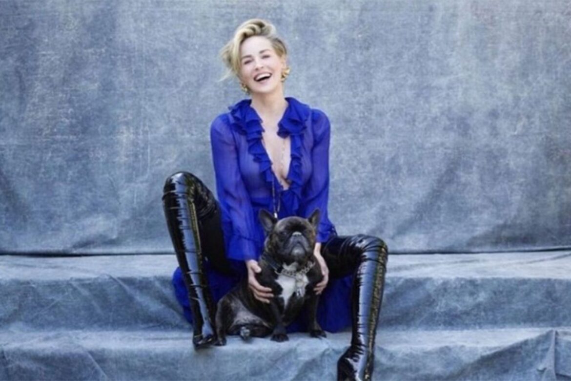 20240119075153_811589