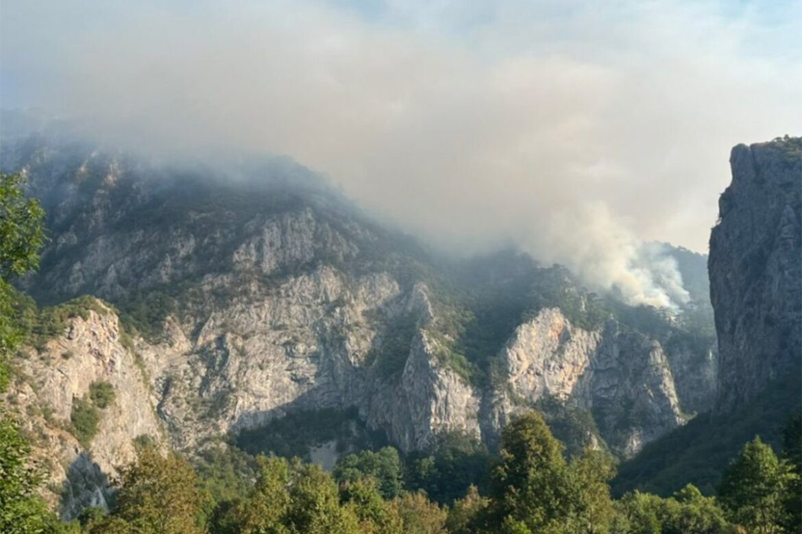 20240813123419_850284