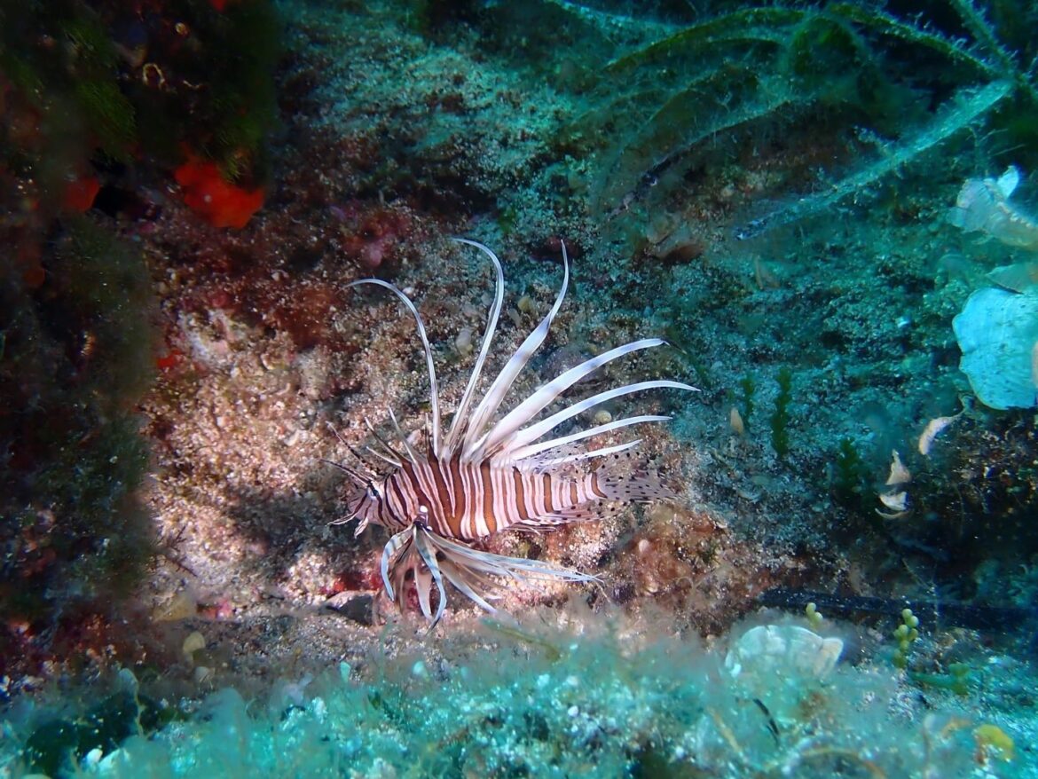 519262966_1158825206290232_3886153813288681016_n