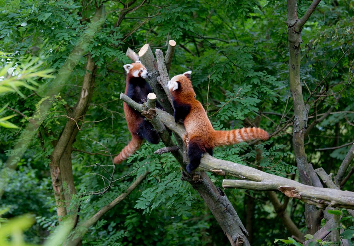 svjetski-dan-zdravlja_5ac5f88b3193a